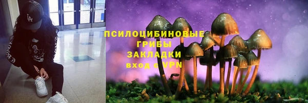 герыч Алексин