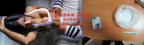 PSILOCYBIN Алзамай