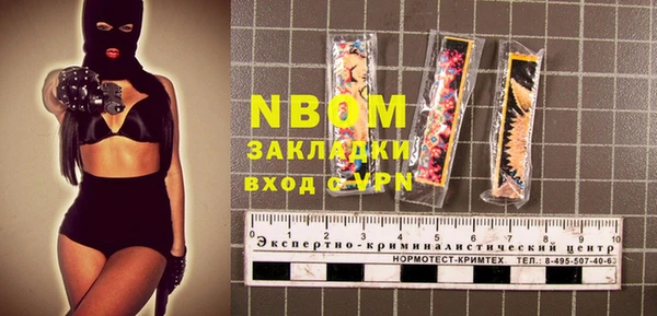 PSILOCYBIN Алзамай