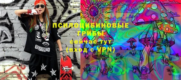 PSILOCYBIN Алзамай