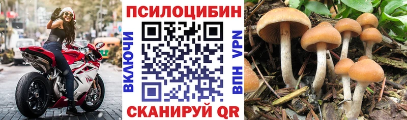Псилоцибиновые грибы Magic Shrooms  Петровск 