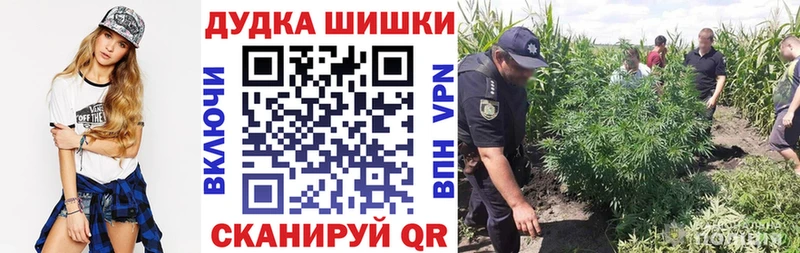 Бошки Шишки VHQ  где купить наркоту  Петровск 